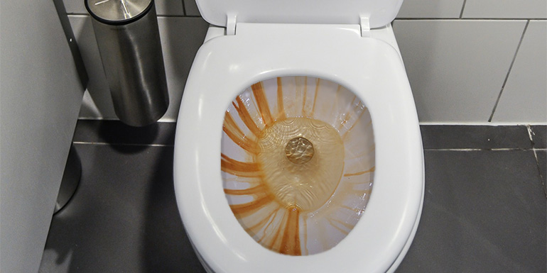 Toilet with Rust stains